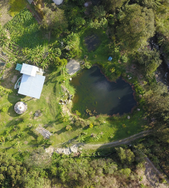 Sanación y Regeneración en Chambalabamba