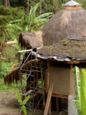 Exterior Bosque