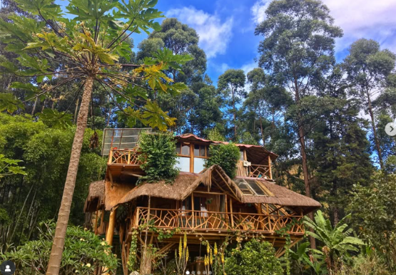Casa en el arbol
