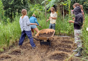 Taller de Huertos Orgánicos