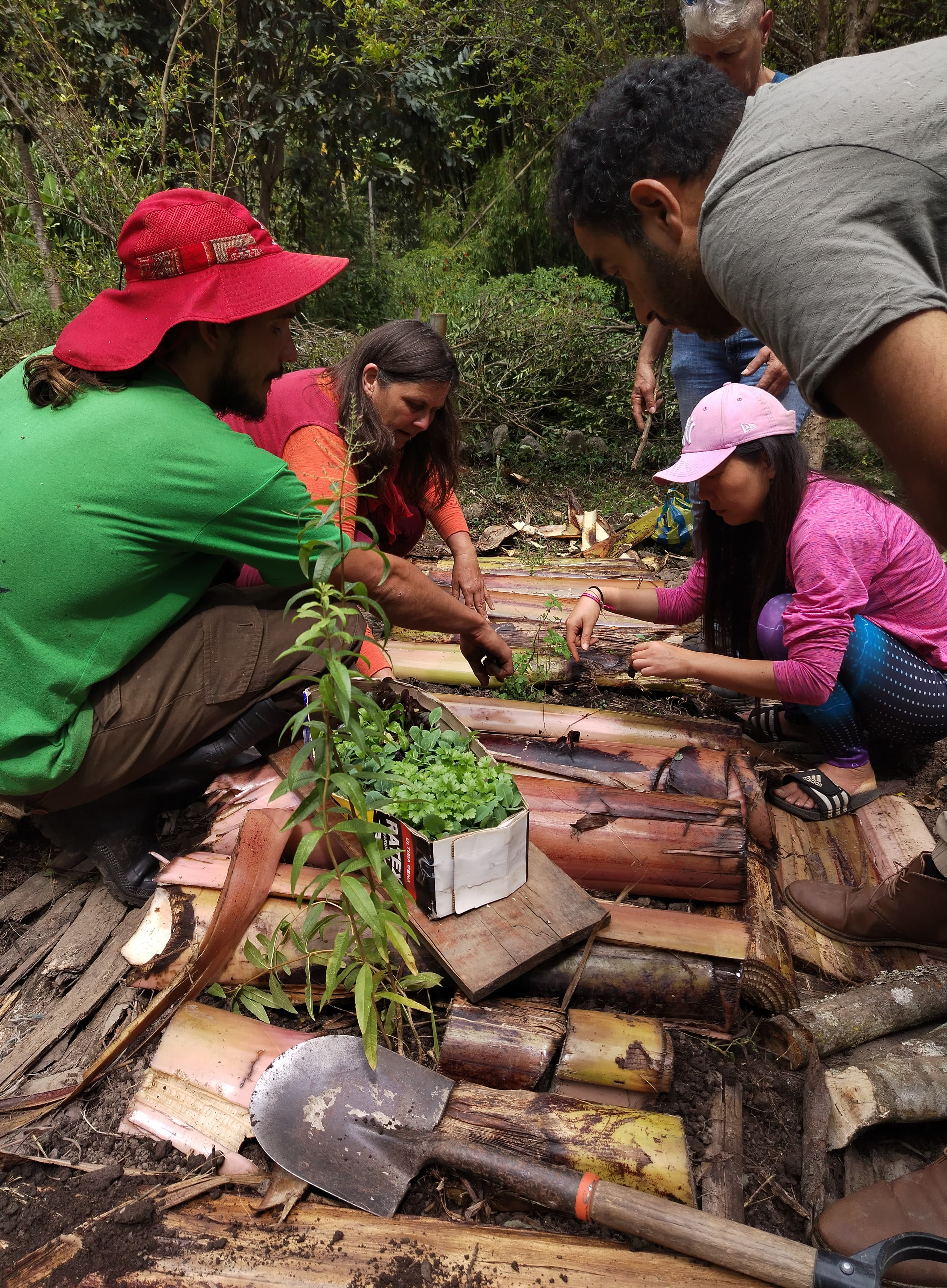 Cosecha en comunidad