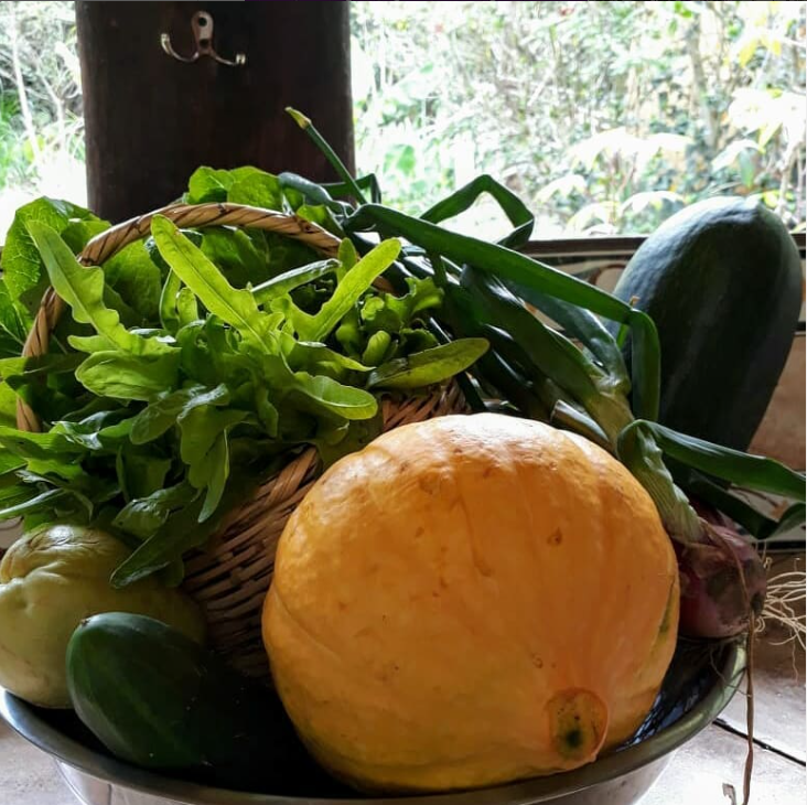 Alimentación orgánica