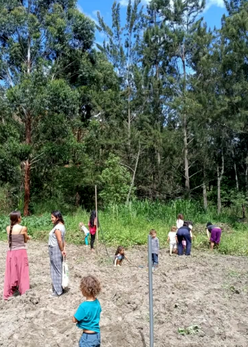 Cosecha en comunidad