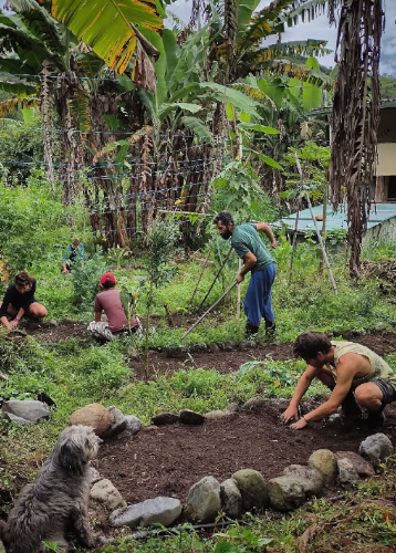 Huerta comunitaria