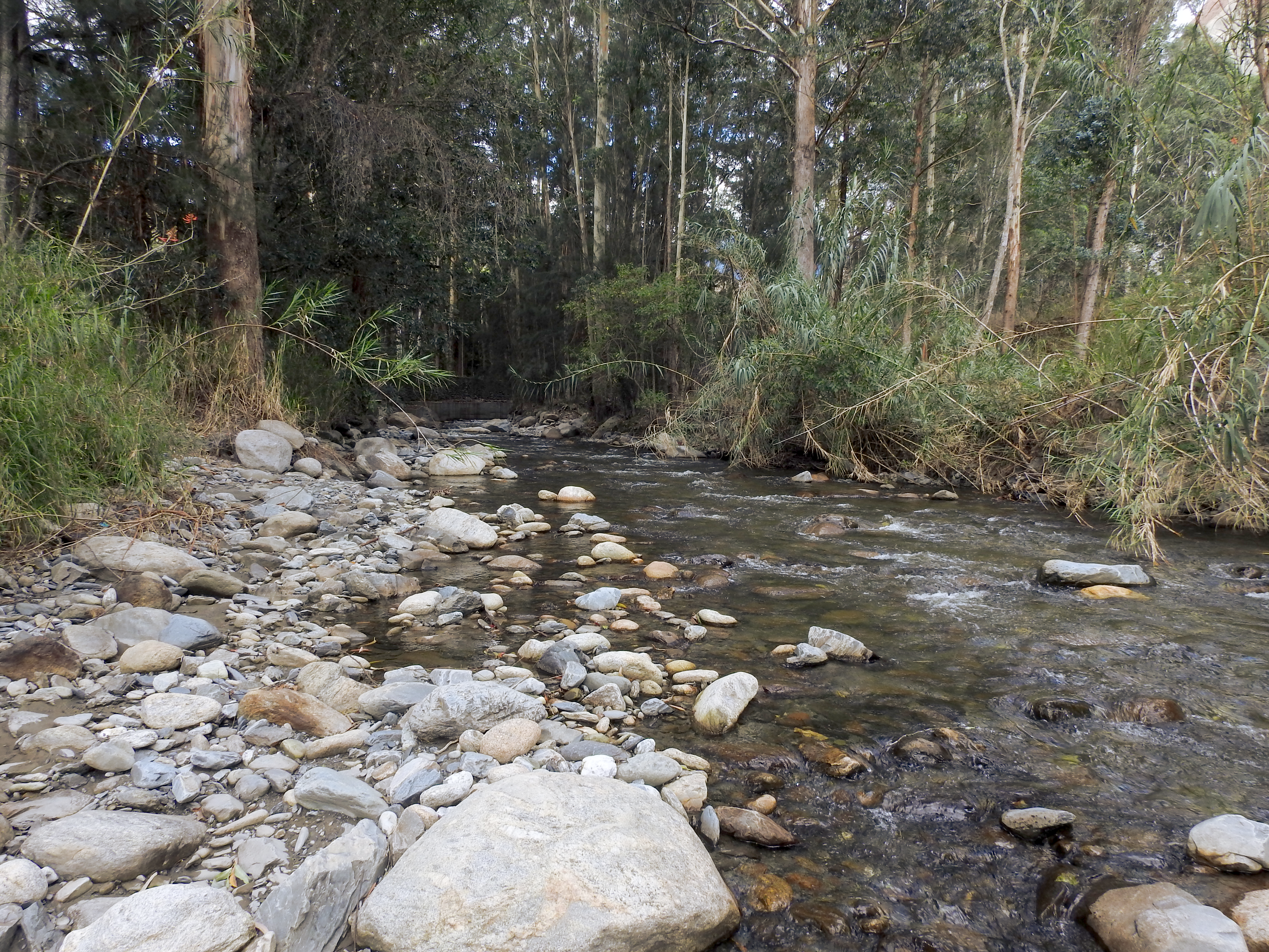 Respirar junto al río