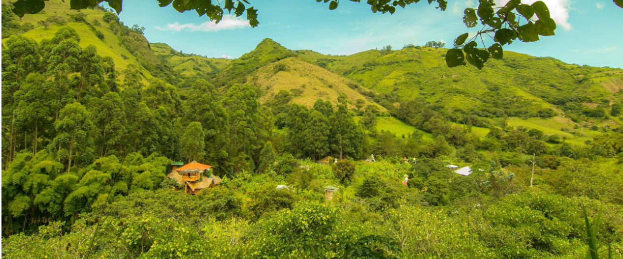 Explora Chambalabamba en Ecuador