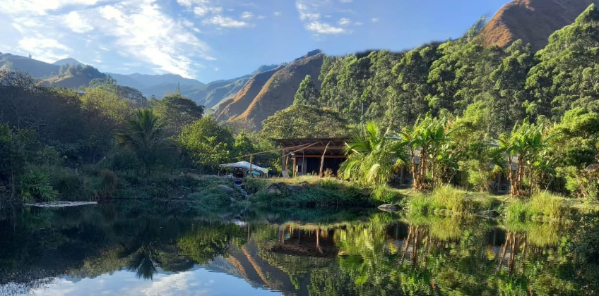 Ecología en desarrollo