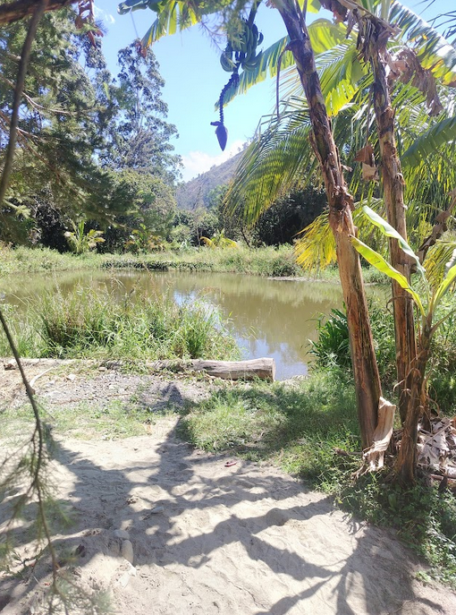 Apoyo a Chambalabamba