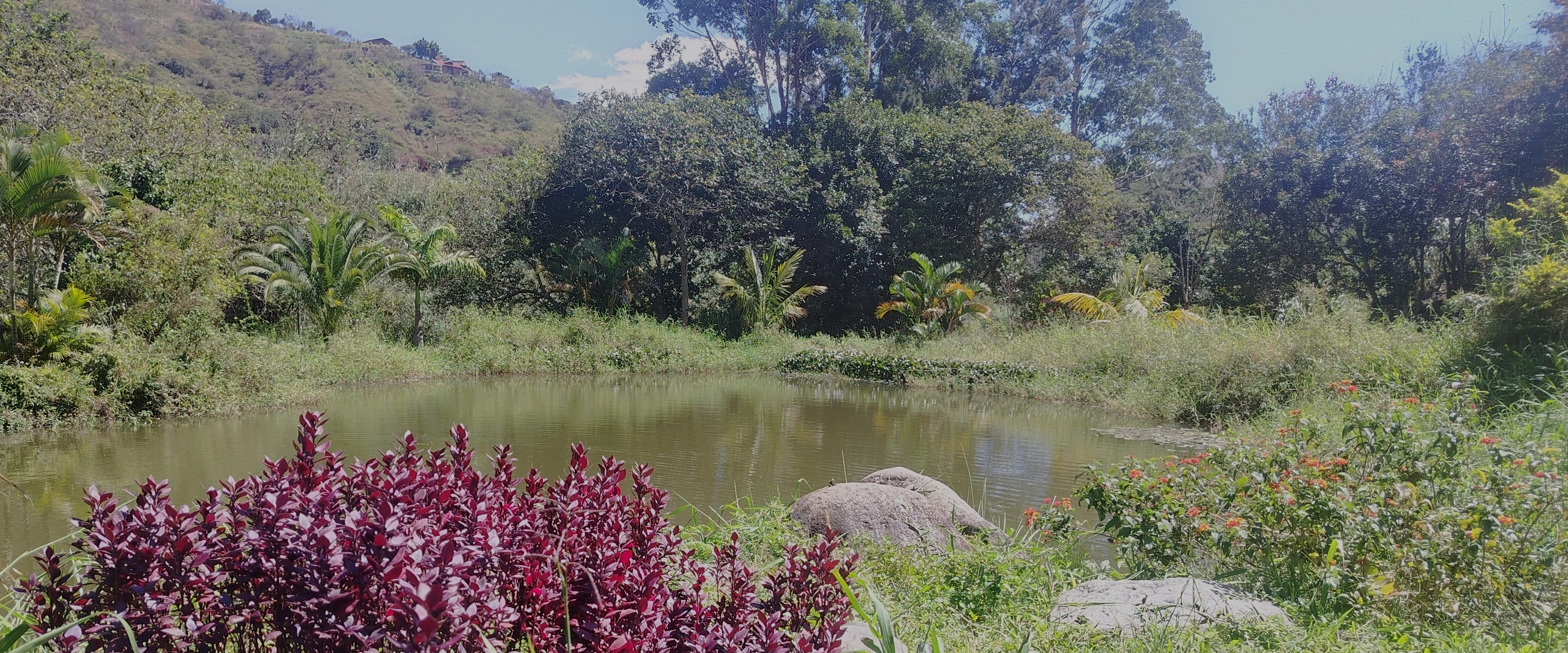 Laguna Chambalabamba